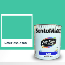 Filli Boya Sentomaxx Boya NCS S 1050-B90G
