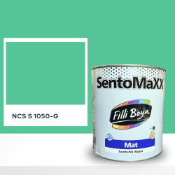 Filli Boya Sentomaxx Boya NCS S 1050-G