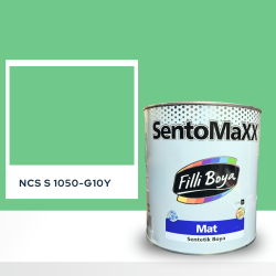 Filli Boya Sentomaxx Boya NCS S 1050-G10Y