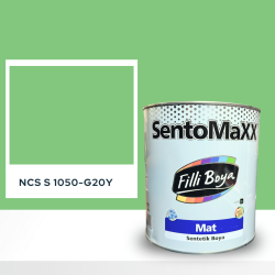 Filli Boya Sentomaxx Boya NCS S 1050-G20Y