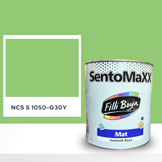 Filli Boya Sentomaxx Boya NCS S 1050-G30Y