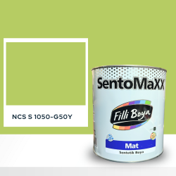 Filli Boya Sentomaxx Boya NCS S 1050-G50Y