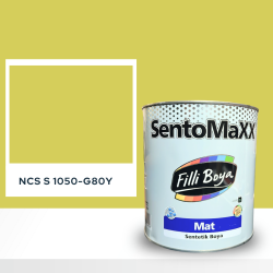 Filli Boya Sentomaxx Boya NCS S 1050-G80Y