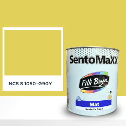 Filli Boya Sentomaxx Boya NCS S 1050-G90Y