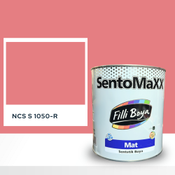 Filli Boya Sentomaxx Boya NCS S 1050-R