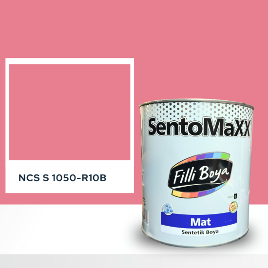 Filli Boya Sentomaxx Boya NCS S 1050-R10B