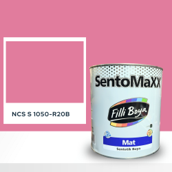 Filli Boya Sentomaxx Boya NCS S 1050-R20B