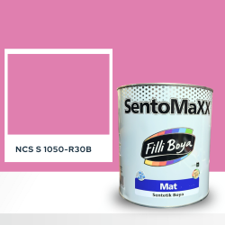 Filli Boya Sentomaxx Boya NCS S 1050-R30B