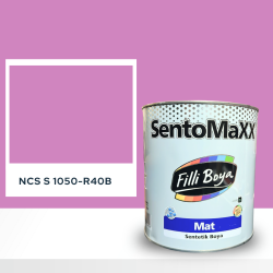 Filli Boya Sentomaxx Boya NCS S 1050-R40B