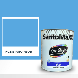 Filli Boya Sentomaxx Boya NCS S 1050-R90B