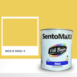 Filli Boya Sentomaxx Boya NCS S 1050-Y