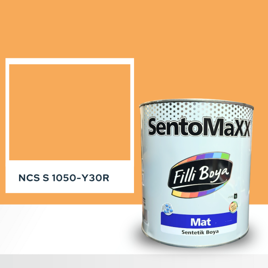 Filli Boya Sentomaxx Boya NCS S 1050-Y30R