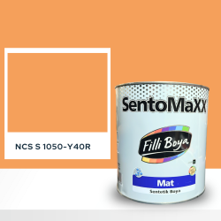 Filli Boya Sentomaxx Boya NCS S 1050-Y40R
