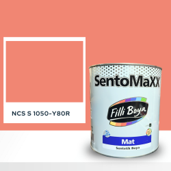 Filli Boya Sentomaxx Boya NCS S 1050-Y80R