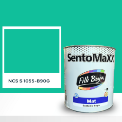 Filli Boya Sentomaxx Boya NCS S 1055-B90G