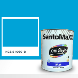 Filli Boya Sentomaxx Boya NCS S 1060-B