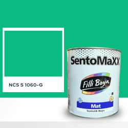 Filli Boya Sentomaxx Boya NCS S 1060-G