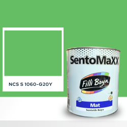 Filli Boya Sentomaxx Boya NCS S 1060-G20Y