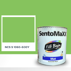 Filli Boya Sentomaxx Boya NCS S 1060-G30Y