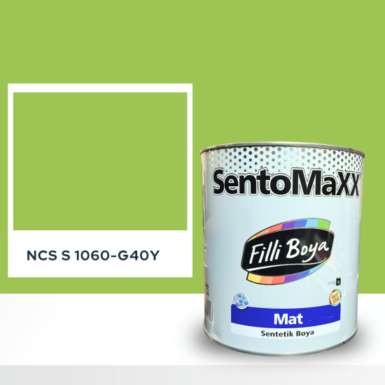 Filli Boya Sentomaxx Boya NCS S 1060-G40Y