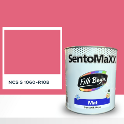 Filli Boya Sentomaxx Boya NCS S 1060-R10B