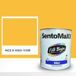 Filli Boya Sentomaxx Boya NCS S 1060-Y10R