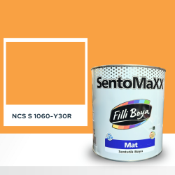 Filli Boya Sentomaxx Boya NCS S 1060-Y30R
