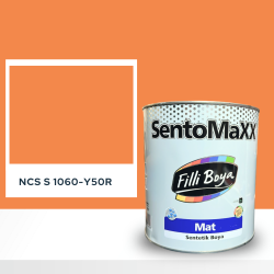 Filli Boya Sentomaxx Boya NCS S 1060-Y50R