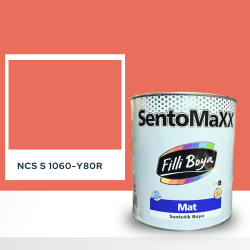 Filli Boya Sentomaxx Boya NCS S 1060-Y80R