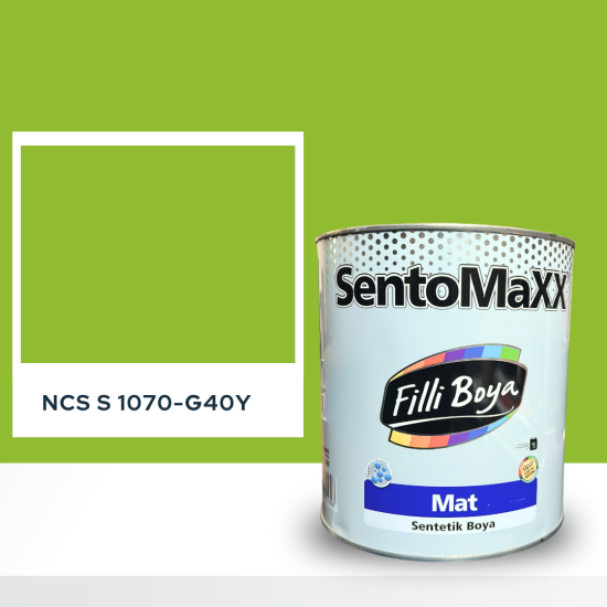 Filli Boya Sentomaxx Boya NCS S 1070-G40Y