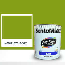 Filli Boya Sentomaxx Boya NCS S 1070-G50Y