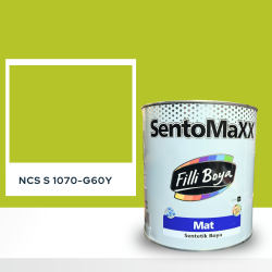 Filli Boya Sentomaxx Boya NCS S 1070-G60Y