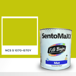 Filli Boya Sentomaxx Boya NCS S 1070-G70Y