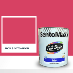 Filli Boya Sentomaxx Boya NCS S 1070-R10B
