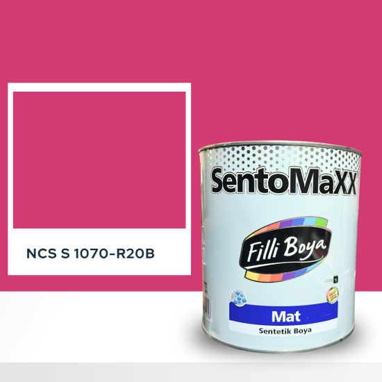 Filli Boya Sentomaxx Boya NCS S 1070-R20B