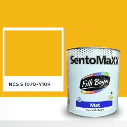 Filli Boya Sentomaxx Boya NCS S 1070-Y10R