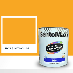 Filli Boya Sentomaxx Boya NCS S 1070-Y20R