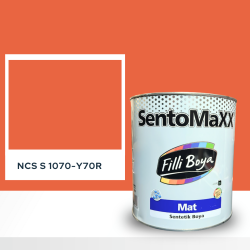 Filli Boya Sentomaxx Boya NCS S 1070-Y70R