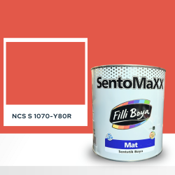Filli Boya Sentomaxx Boya NCS S 1070-Y80R