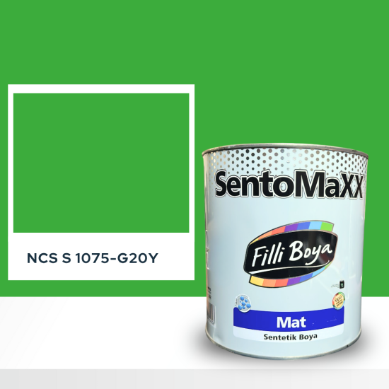Filli Boya Sentomaxx Boya NCS S 1075-G20Y