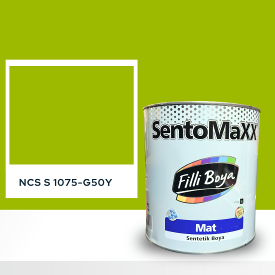 Filli Boya Sentomaxx Boya NCS S 1075-G50Y