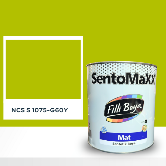 Filli Boya Sentomaxx Boya NCS S 1075-G60Y