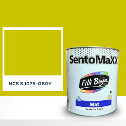 Filli Boya Sentomaxx Boya NCS S 1075-G80Y