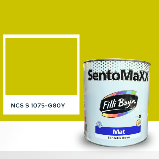 Filli Boya Sentomaxx Boya NCS S 1075-G80Y