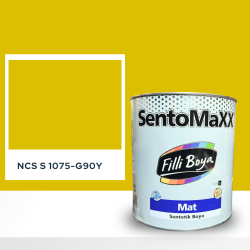 Filli Boya Sentomaxx Boya NCS S 1075-G90Y