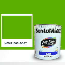 Filli Boya Sentomaxx Boya NCS S 1080-G30Y