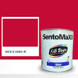 Filli Boya Sentomaxx Boya NCS S 1080-R