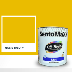 Filli Boya Sentomaxx Boya NCS S 1080-Y