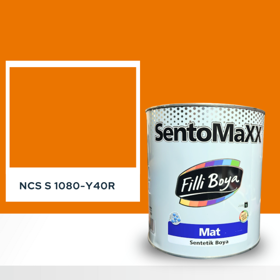 Filli Boya Sentomaxx Boya NCS S 1080-Y40R