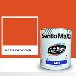 Filli Boya Sentomaxx Boya NCS S 1080-Y70R